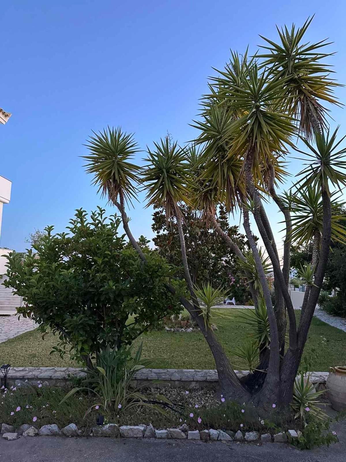 Anamnesis. Feel The Mediterranean. Kalamata Exterior photo
